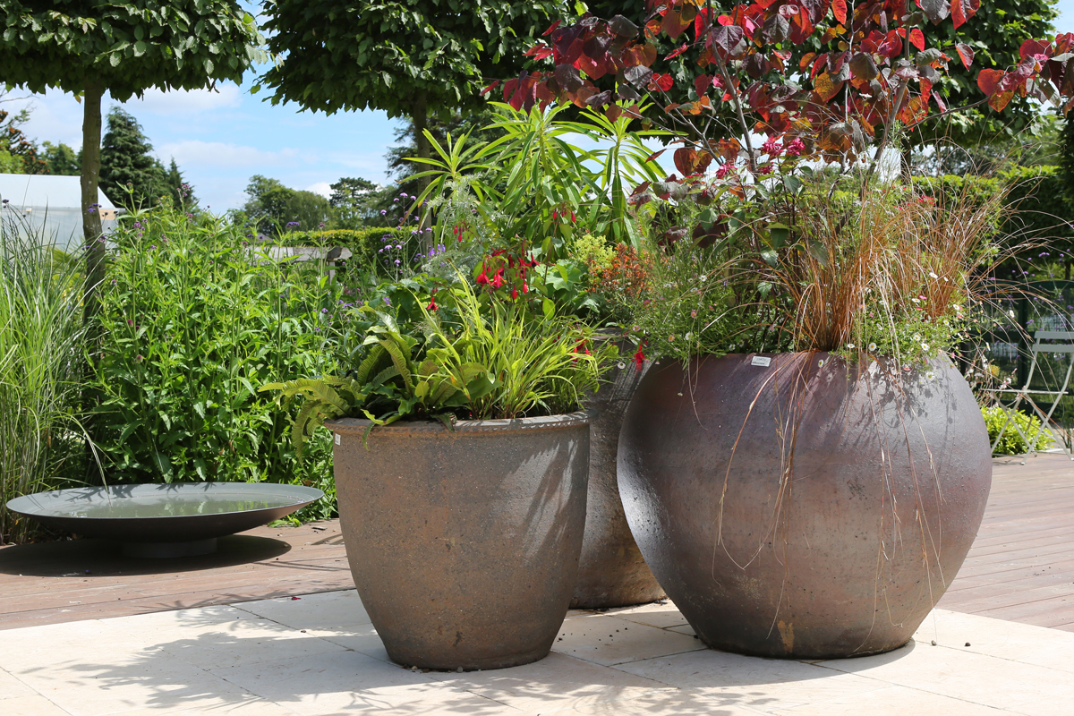 Large Pots and Planters at Clifton Nurseries