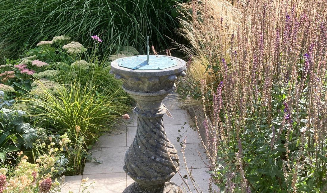 Drought Tolerant Plants