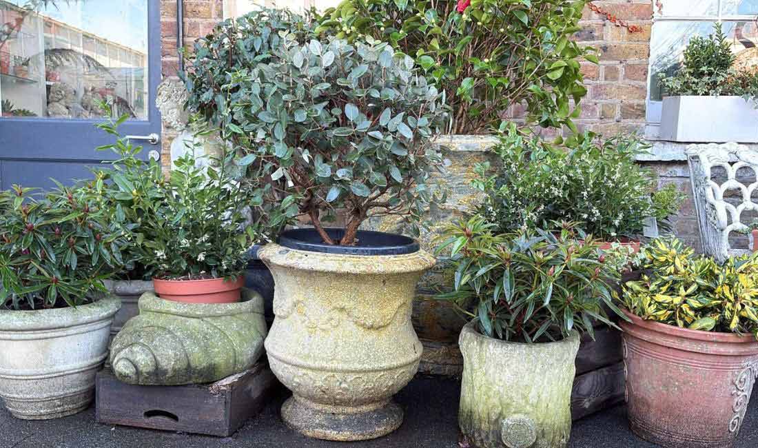 Garden Pots