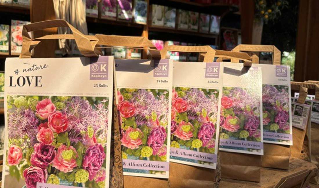 It’s time to start planning for a beautiful spring display