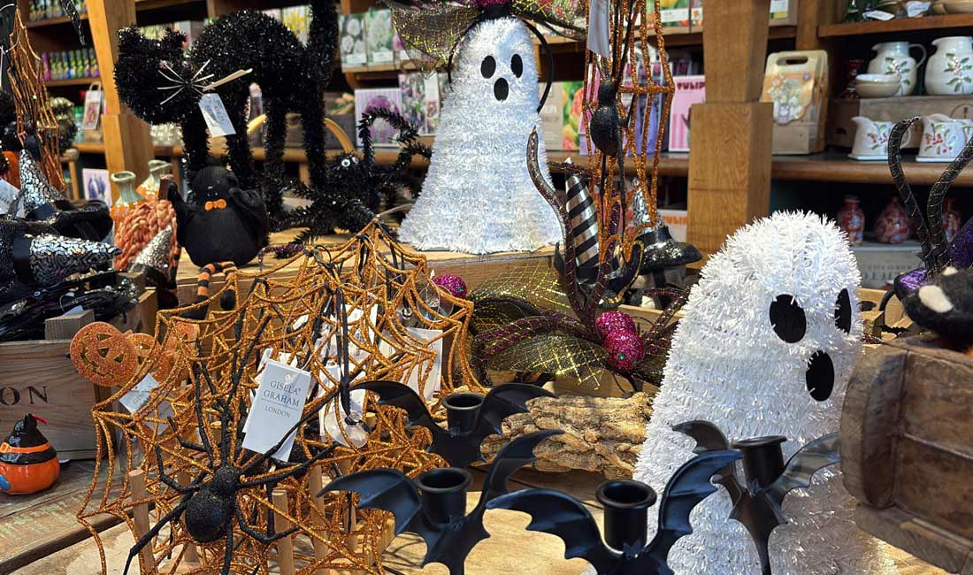 Our Halloween shop is now open!