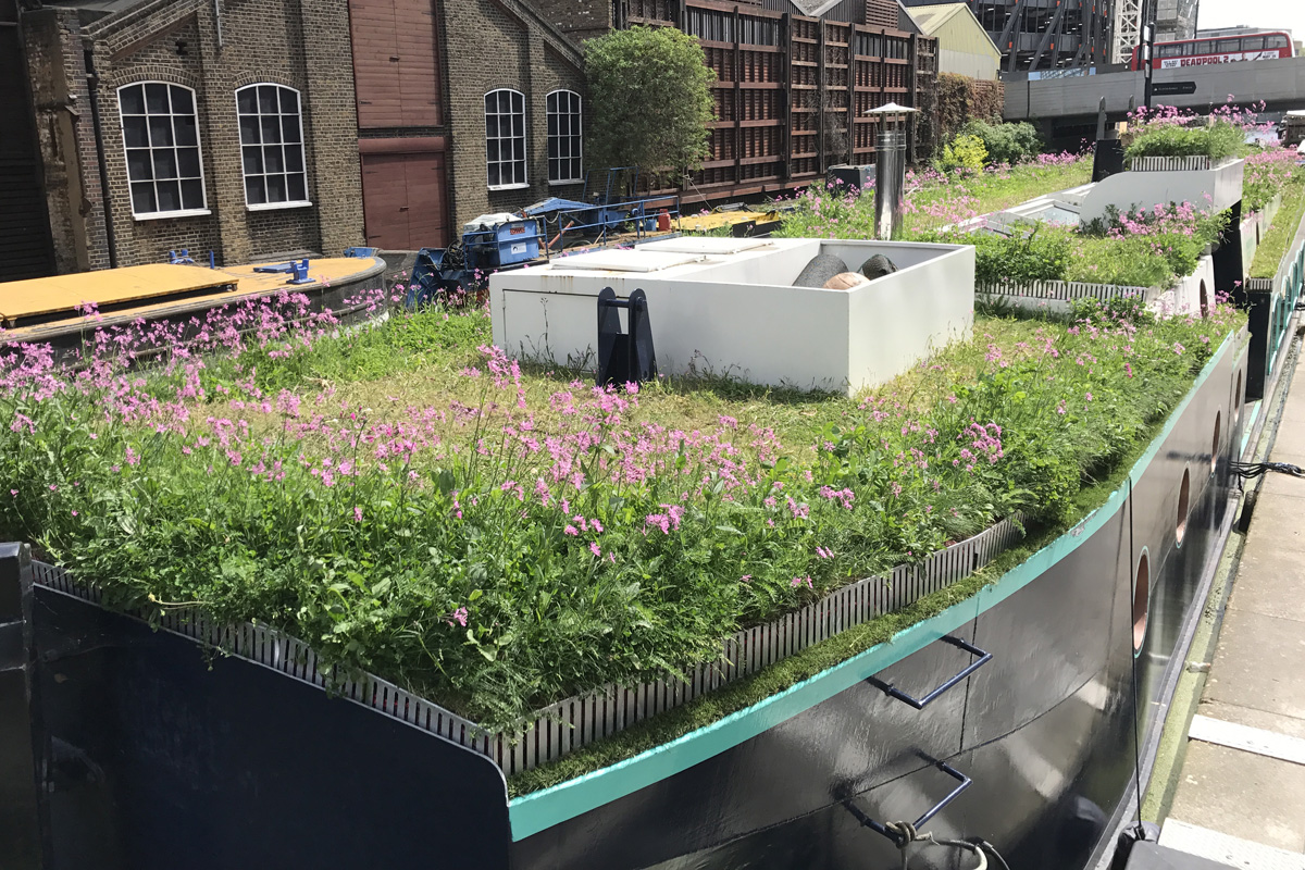 The Floating Meadow at Paddington Central