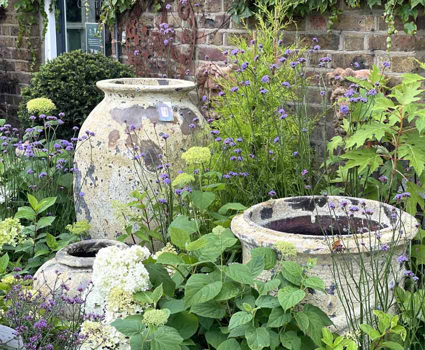 Friends of Clifton Nurseries