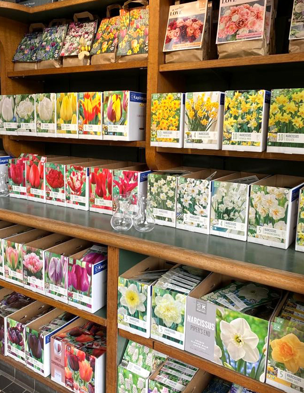 Spring bulbs now in stock