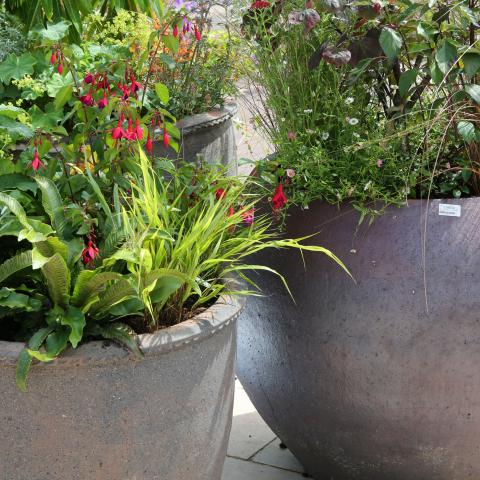 Clifton Nurseries Blog Pots and Planters