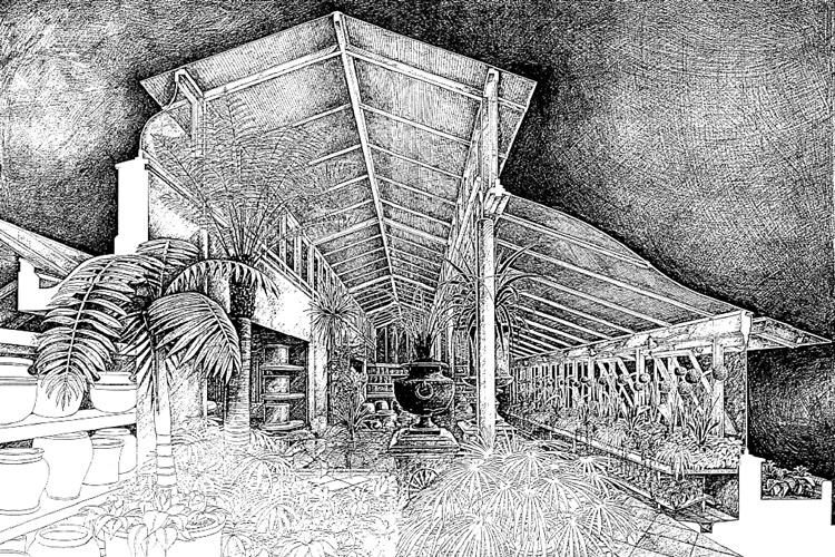 Clifton Nurseries History Palm House