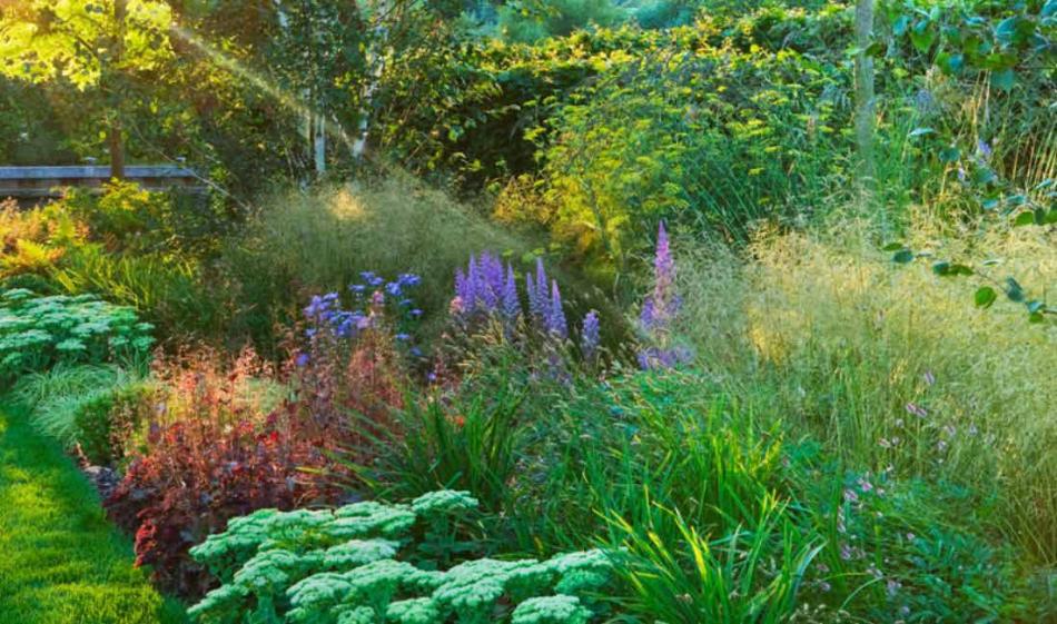 Perennials