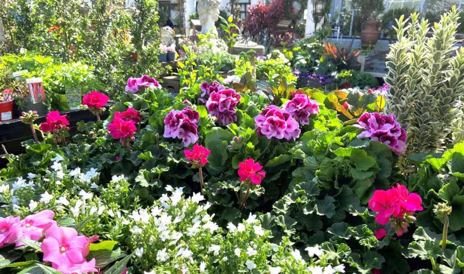 Extended Hours for Springtime
