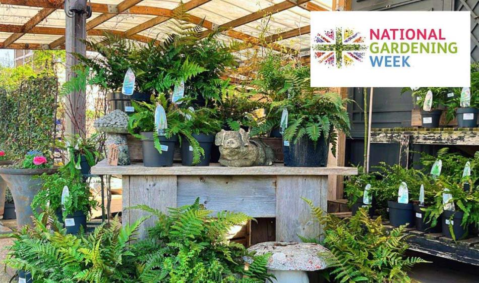 Join us in Celebrating National Gardening Week