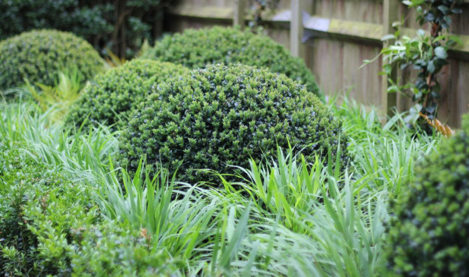 Job Vacancy Full Time Garden Maintenance Operative London