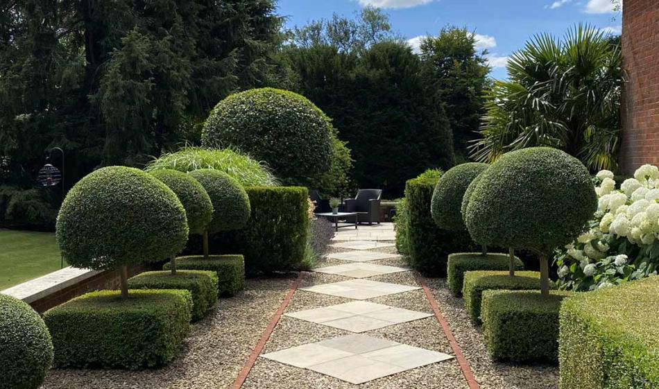 Join us for a coffee & a chat about your garden dreams 