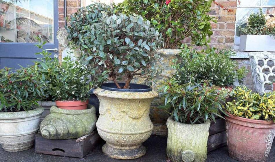Garden Pots