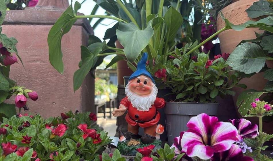 Celebrate National Children’s Gardening Week with us!