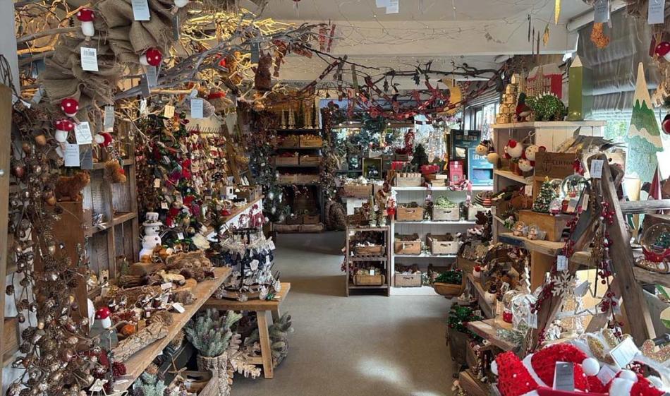Christmas has officially arrived at Clifton Nurseries